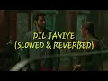 Download Lagu DIL JAANIYE (Slowed) | Khandaani Shafakhana | Sonakshi S, Priyansh | Jubin N, Tulsi Kumar, Payal Dev