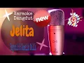 Lagu Karaoke Jelita Reynold - Camelia Malik | ADEEVA MUSIC STUDIO