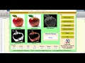 Fruit Disease Detection Using Neural Network With Source Code