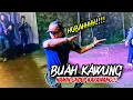 Download Lagu BUAH KAWUNG || JOGED JAIPONG - NAMIN GROUP KARAWANG