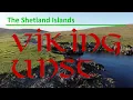 Viking Unst | Shetland