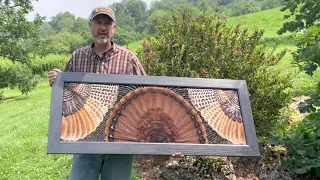 52 x 21 feather art