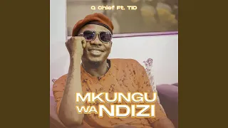 mkungu wa ndizi feat tid