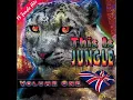 Jungle Fever (Ragga Rebel Remix)