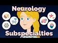 10 Neurology Subspecialties Explained