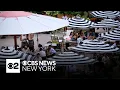 New York City Council passes measures on outdoor dining dog waste