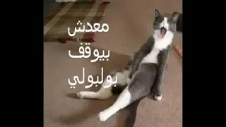 اغنيه معدش بيقف بلبلي    دندنها