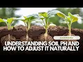 Understanding Soil pH and How To Adjust It Naturally