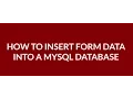 How to Insert Form Data Into a MySQL Database Using PHP Part-2
