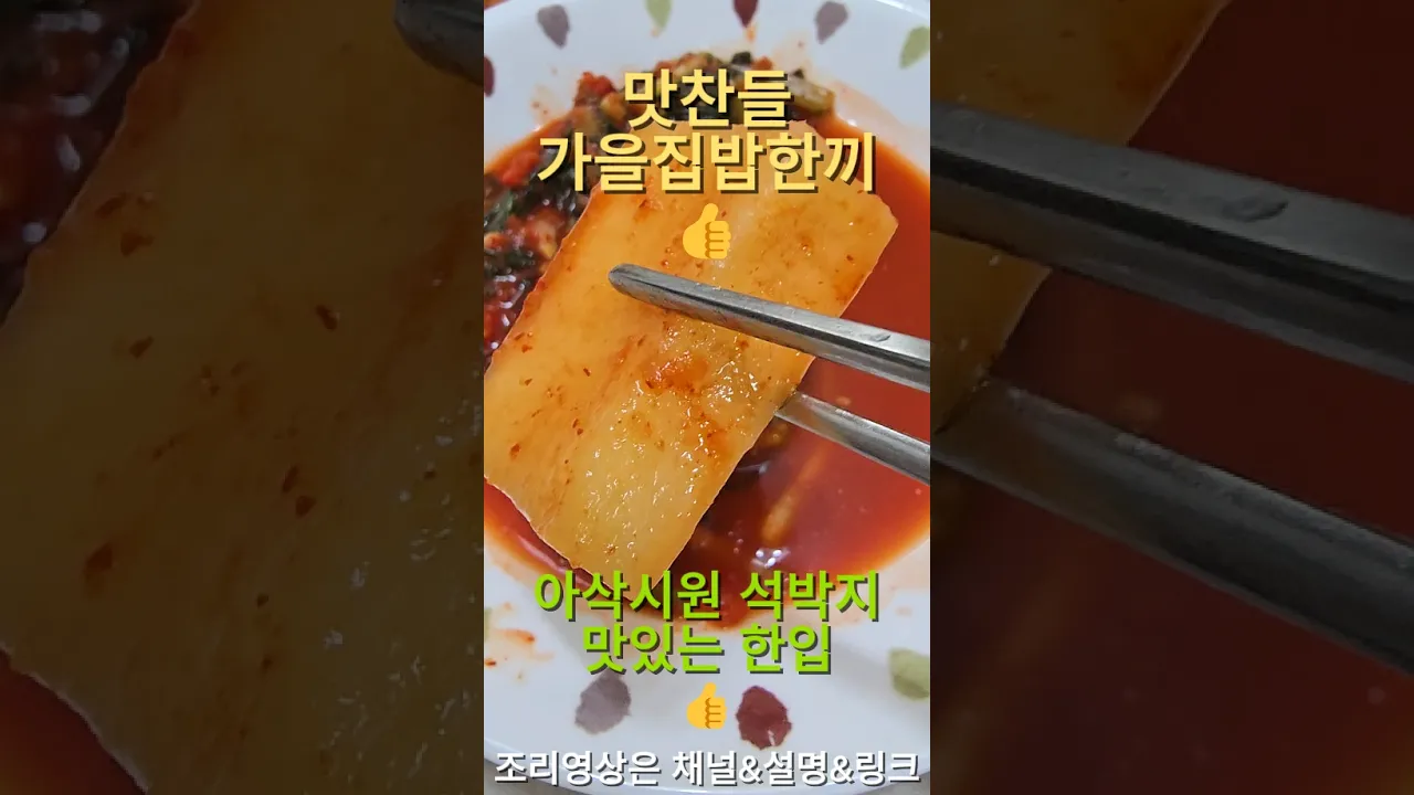 26년 가을 집밥일기: 청양 데리야끼 닭다리살과 다양한 김치, 장조림 등 레시피 숏폼 썸네일