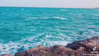 كل الحكايه حكيتها ليك بدموع عيوني احمد عامر جديد ٢٠٢١ حالات واتس 