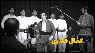 Kamall Ghaderi کمال قادری 