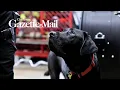 Meet Pancake Charleston s first Accelerant Detection Canine
