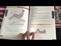 Personal Trainer Reviews BodyBuilding Anatomy