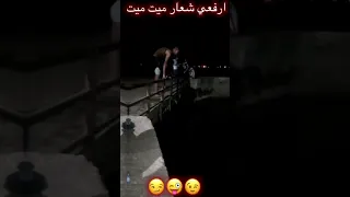 ارفعلي شعار ميت ميت  اكسبلور  فديو جاهز للتصميم  مصمم  لايك دندنها