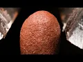 Biting Off Everyday Objects In Macro