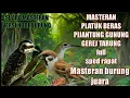 Download Lagu MASTERAN FULL NEMBAK GEREJA TARUNG PIJANTUNG PLATUK BERAS