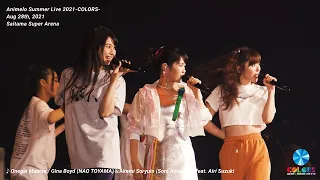 Download 【Animelo Summer Live 2021 -COLORS- DAY2】Digest MP3