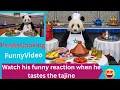 🔥 The Famous Panda Cooks a Moroccan Lamb Tajine for the First Time! 🇲🇦🐼 UNBELIEVABLE REACTION