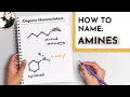 How to Name Primary Secondary Tertiary Amines IUPAC Rules