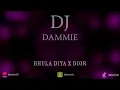 BHULA DIYA X DIOR | ZACK KNIGHT | DJ DAMMIE | 2025 HOUSE REMIX | HINDI REMIX