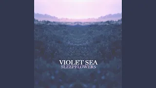 Download Violet Sea MP3