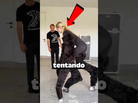VAI GANHAR SEM DΓVIDAS π±π¨