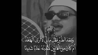 الشيخ ممدوح عامر سورة النمل وتلاوة رائعة جدا جدا وتفقد الطير فقال مالي لا أرى الهدهد دندنها