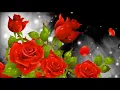 Yara - Jayi / يارا- جايي___غناء____جهـان هـزار