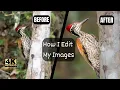 Optimize Your Wildlife Photography Step-by-Step Post-Processing Guide Hindi