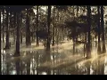 Jim White - Still Waters