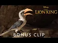 The Lion King 2019 Bonus Clip John Oliver als Zazu Disney BE