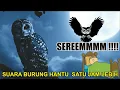 Download Lagu Suara Burung Hantu Pada Malam Hari, Asli Serem...!!!!!!!!