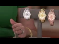 Judith Ripka Stainless Steel Madison Watch on QVC