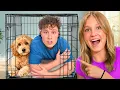 I Let My Dog Control My Entire Life She Trapped Me