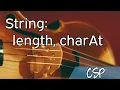 CSP String length charAt