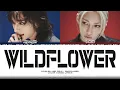 Download Lagu Hyunjin and Felix (Stray Kids) - Wildflower [AI COVER]