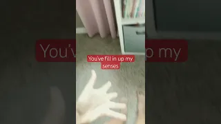 Cake Flyinghigh Fairies Fairy Rp Roleplaying Roleplay 