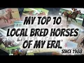 Caymanas park tips my top 10 local bred horses of my era to race at caymanas park