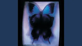 Yen Town Band「Swallowtail Butterfly -Aino Uta- (Remastered 2015)」