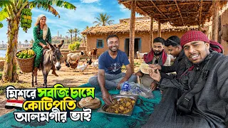 মিশরে আলমগীর ভাইয়ের জীবন || Egypt Agricultural || মিশরে সবজি চাষ করে কোটিপতি বাংলাদেশের আলমগীর ভাই