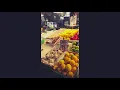 Pike and pybus virtual tour