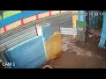 Download Lagu Monkey fall and died on my home gate