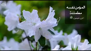 المؤمن نفسه مطمئة طيبة     للشيخ محمد بن صالح العثيمين رحمه الله دندنها