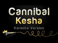 Download Lagu Kesha - Cannibal (Karaoke Version)