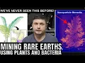 Crystal Found Inside a Plant Could Transform Rare Earth Mining Industry