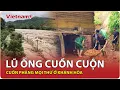 Download Lagu Toàn cảnh lũ ống cuồn cuộn ở Lâm Sơn, Khánh Hòa, “nuốt chửng” mọi thứ trên đường đi|VNP