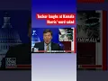 Download Lagu Tucker cracks up roasting Kamala Harris' incompetence #Shorts