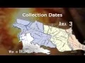 Leaf Collection 2014