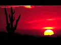 Cat Stevens - Moonshadow - HQ Digitally Remastered Audio (Lyrics in description)